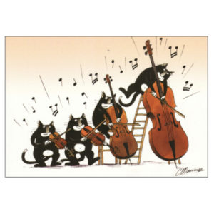 cat music