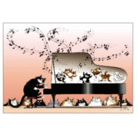 cat plays piano