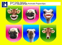 PCKL206 Smiling Animals