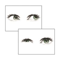 PL173 Green Eyes