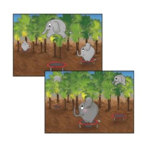 PL178 Elephants trampolining