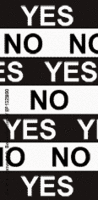 yes/no