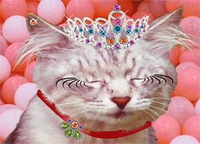 KL216 Happy Birthday smiling cat