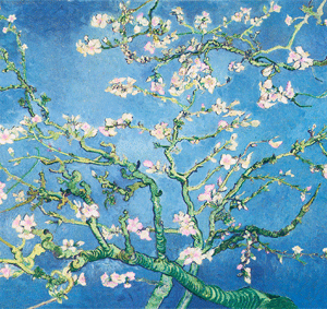 KL220 van Gogh 'cherry blossom'