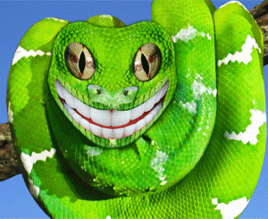 LP389 Smiling Snake