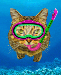 LP390 Diving Cat
