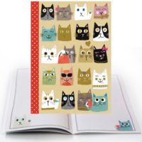 CMD22 Cats