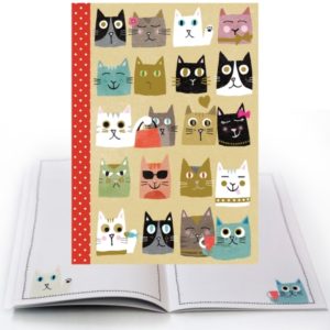 CMD22 Cats