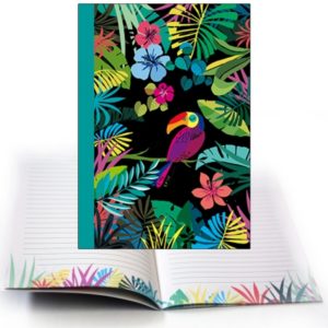 CMD27 Toucan