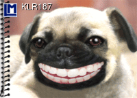 KLR187 Smiling Pug