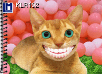 KLR192 Smiling Cat