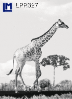 LPR327 Giraffe/Eiffeltower