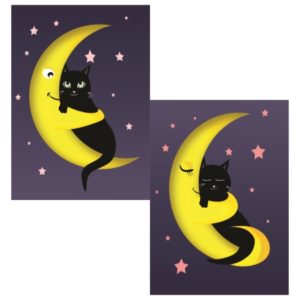 PL279 Cat & Moon